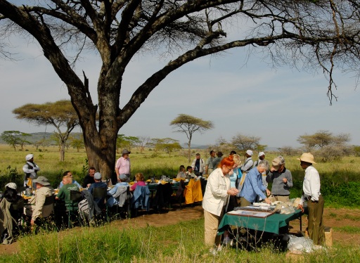Serengeti Breakfast