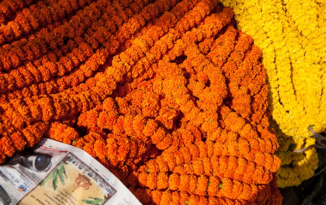 Marigolds, Flower Market, Kolkata