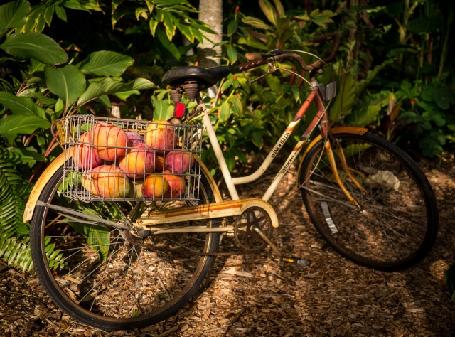Mango Bike